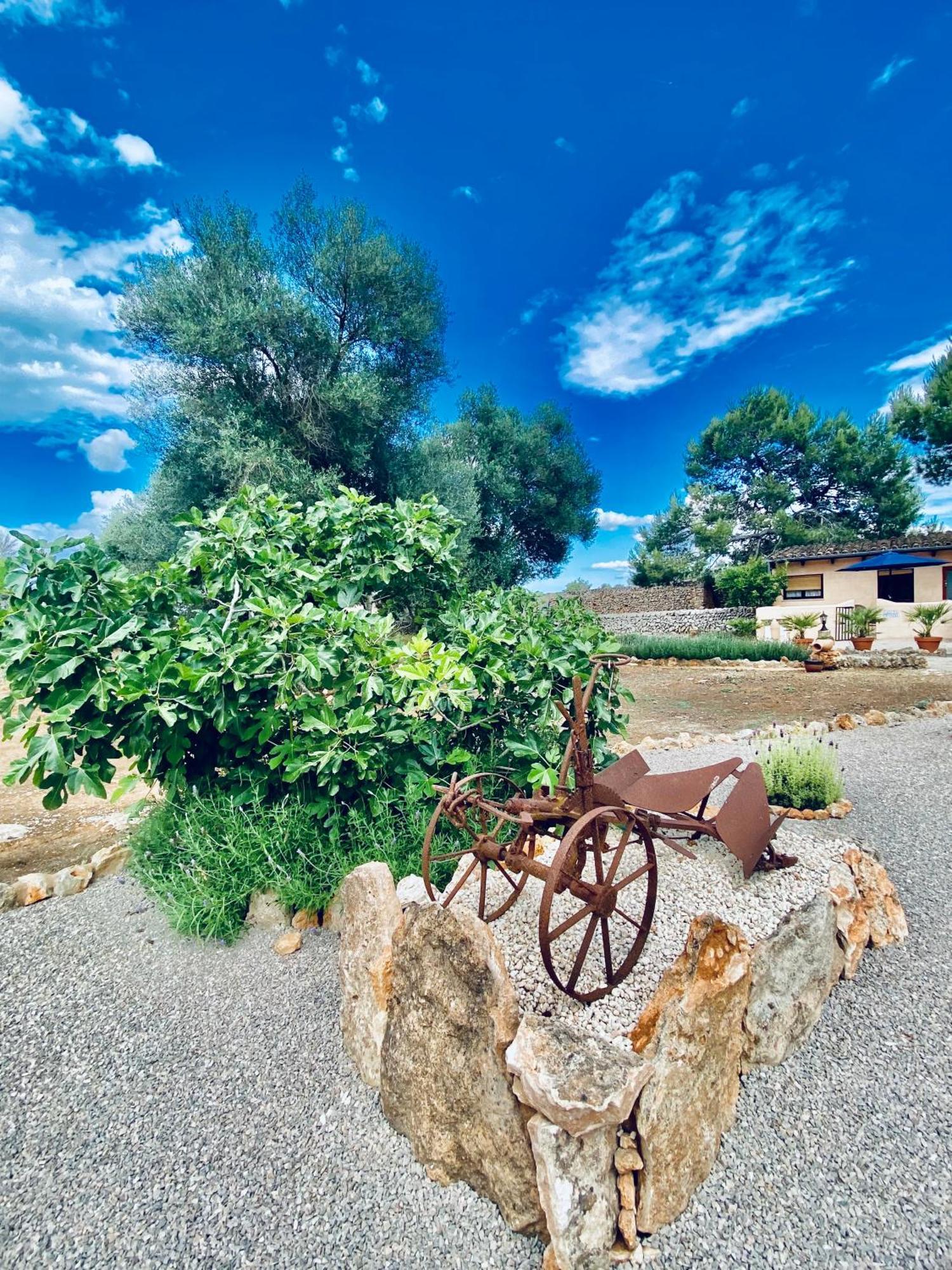 Finca Sa Canova Agroturismo Campos  Exteriér fotografie